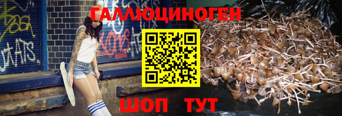 Галлюциногенные грибы прущие грибы  Вход с VPN  Мончегорск 